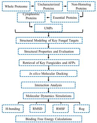 Computational proteomics analysis of Taphrina deformans for the identification of antifungal drug targets and validation with commercial fungicides